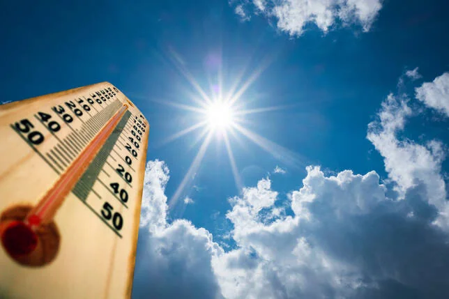 À Courbevoie, la canicule bouscule les services du quotidien