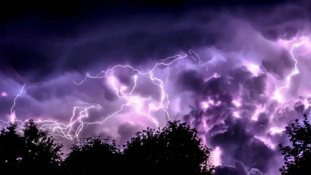 Des éclairs violets illuminent le ciel nocturne au-dessus de la silhouette des arbres.
