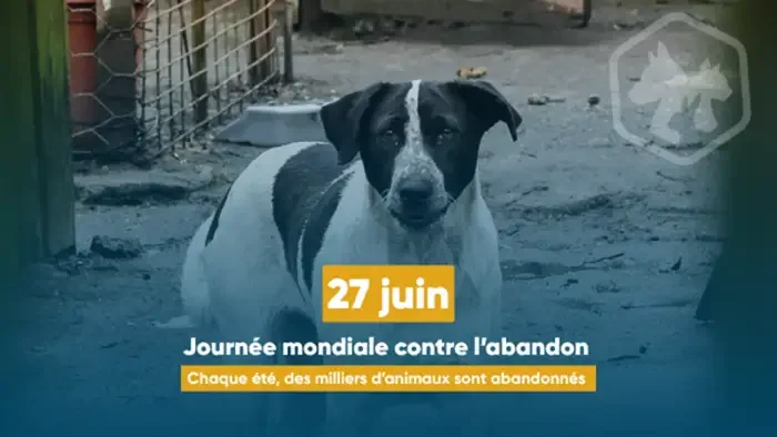 À Lyon, les départs en vacances pèsent sur les refuges