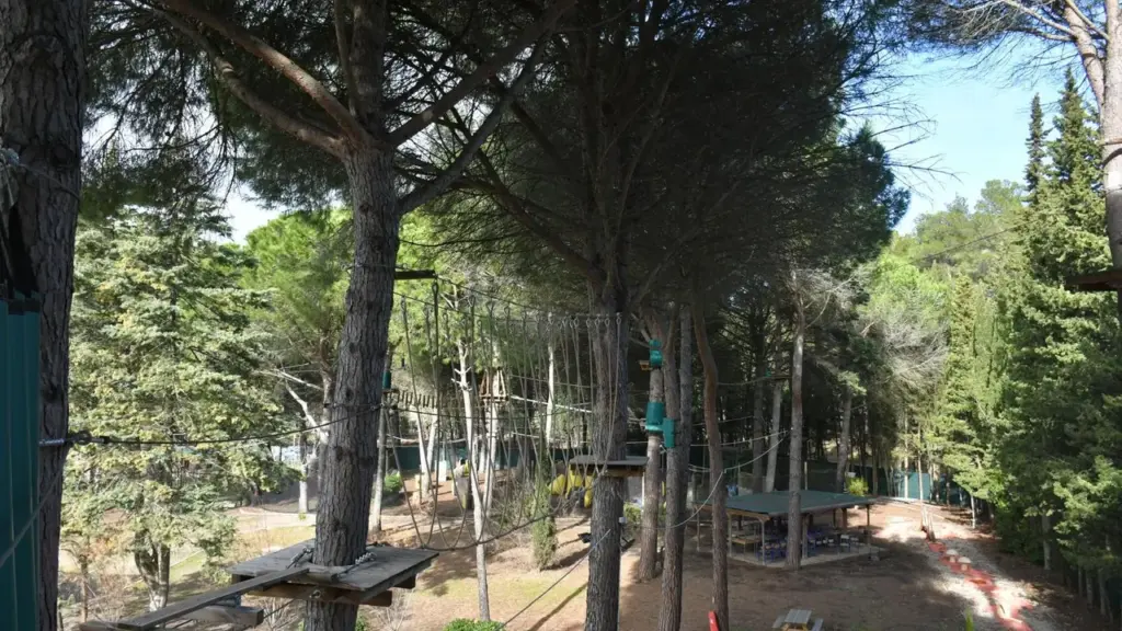 Parcours d'accrobranche avec des plateformes en bois suspendues entre de grands pins forestiers ensoleillés.