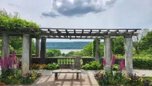 Un banc en bois sous une pergola fleurie dans un parc public paisible.