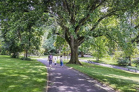 À Angers, un délai court pour peser sur deux grands parcs