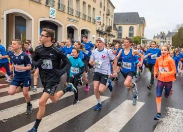 À Bayeux, un périmètre protège le hêtre du jardin