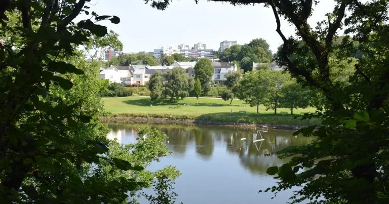 À Brest, la Penfeld polluée devient une zone à éviter