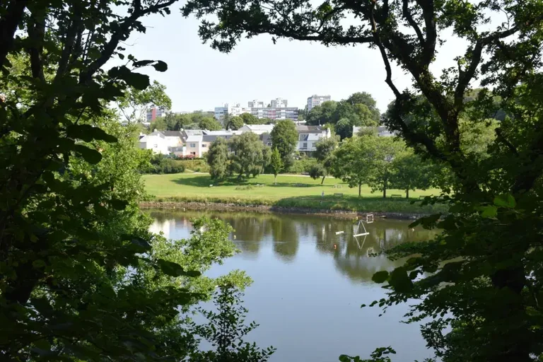 À Brest, la Penfeld polluée devient une zone à éviter