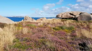 Formation rocheuse brune au milieu d'un champ d'herbe verte en Bretagne