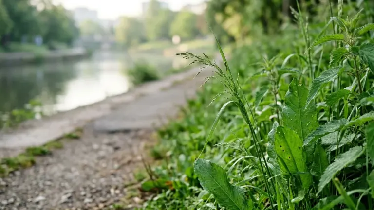 À Caen, une marche gratuite révèle la nature cachée