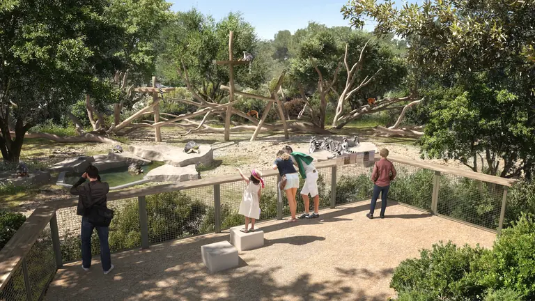 À Montpellier, 29 mois sans zoo avant sa métamorphose