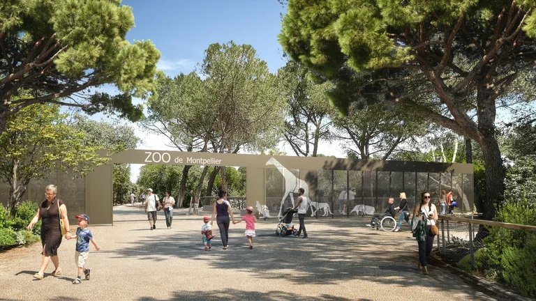 À Montpellier, 29 mois sans zoo avant sa métamorphose