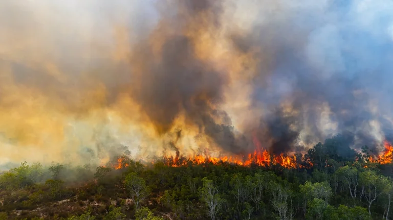 À Montpellier, ces gestes peuvent éviter un incendie