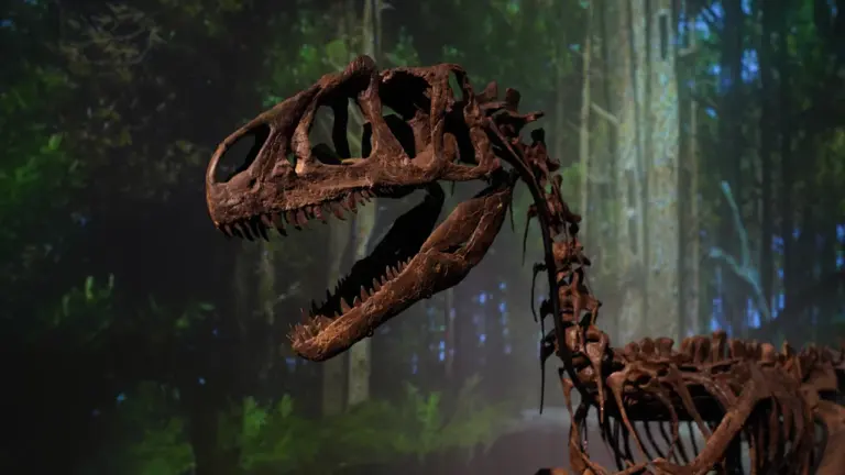 Dinosaures aux oiseaux : l’expo gratuite à Elbeuf: ce qu’il faut retenir