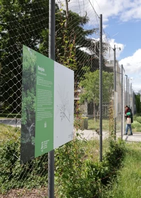 Ex(s)istere à Saint-Étienne : l’exposition gratuite à ciel ouvert