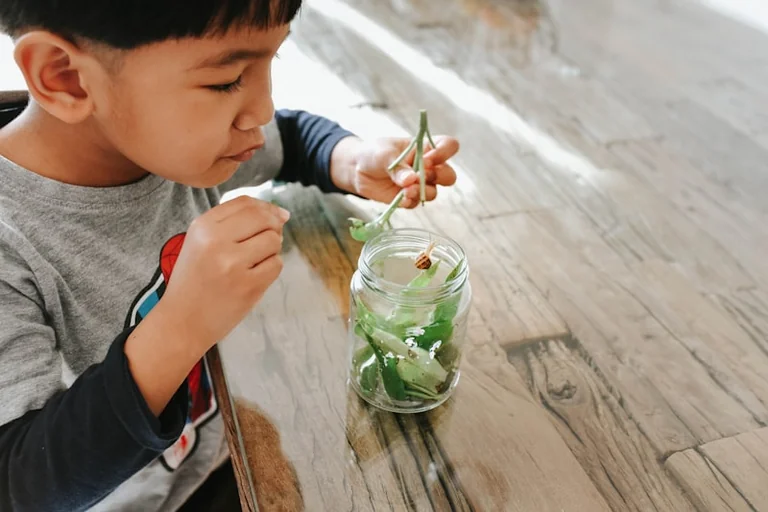 Grenoble : un atelier gratuit pour enfants au Muséum