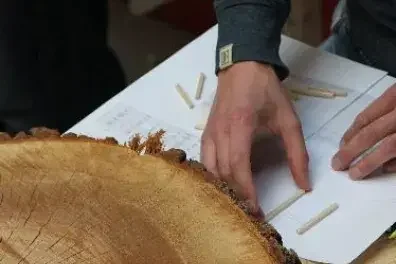 ARBOREACARLO à Bordeaux : atelier gratuit le 26 août: les informations pratiques