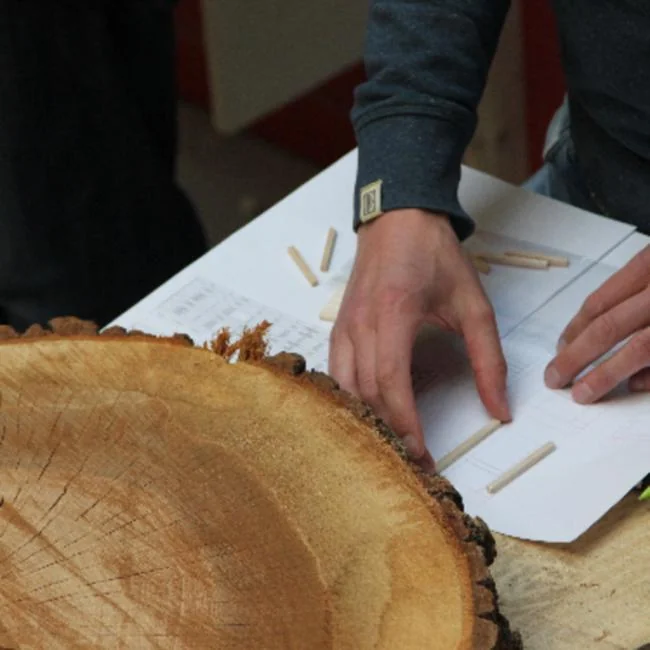 ARBOREACARLO à Bordeaux : atelier gratuit le 26 août: les informations pratiques