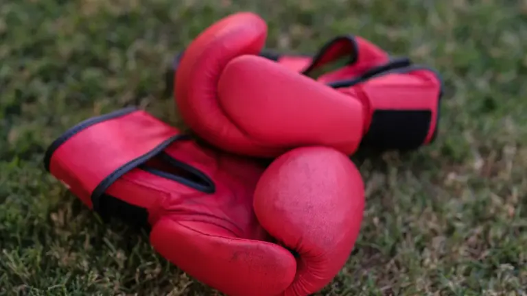 Boxe gratuite à La Roche-sur-Yon le 21 août