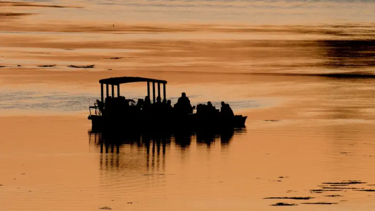 Découvrir la Loire en bateau traditionnel : une balade à Orléans