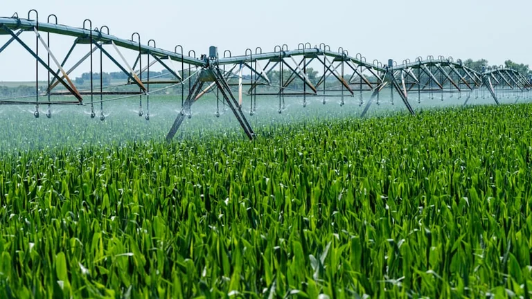 Draguignan : le projet agricole ouvert aux avis jusqu’au 23 septembre
