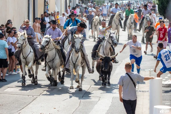 Fêtes votives : le programme dans l'Hérault du 12 au 18 août: ce qu'il faut retenir