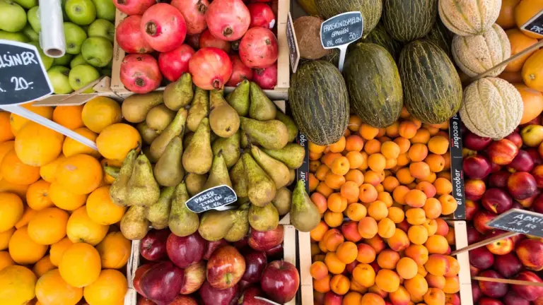 Jeudis de Nîmes : l’été gratuit entre concerts et marchés