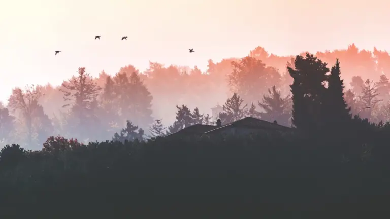Le Réveil des oiseaux à Nîmes : gratuit le 23 août