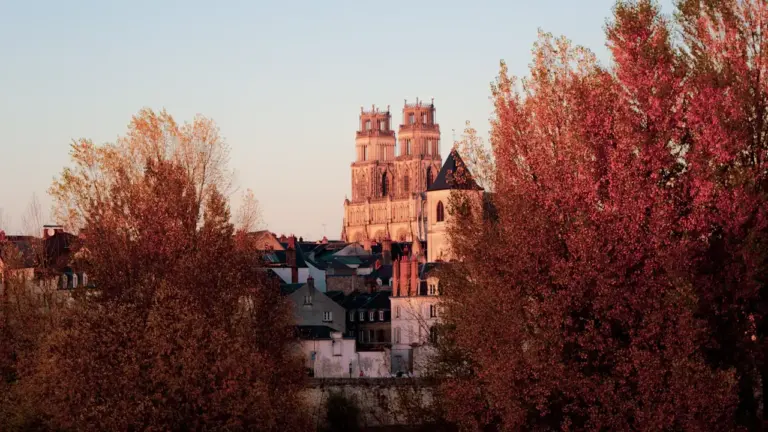 Orléans : le spectacle son et lumière revient à la cathédrale