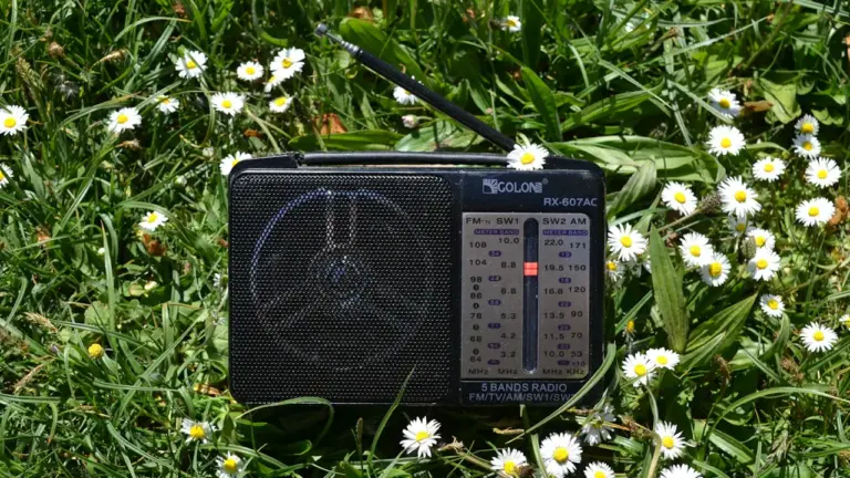 Radio Balado à Bordeaux : gratuit le 24 août