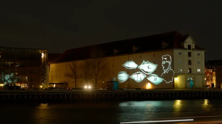Son et lumière à Orléans : les dates du spectacle 2026
