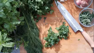 « Zoom sur les aromates » gratuit à Grand Quevilly le 17 août